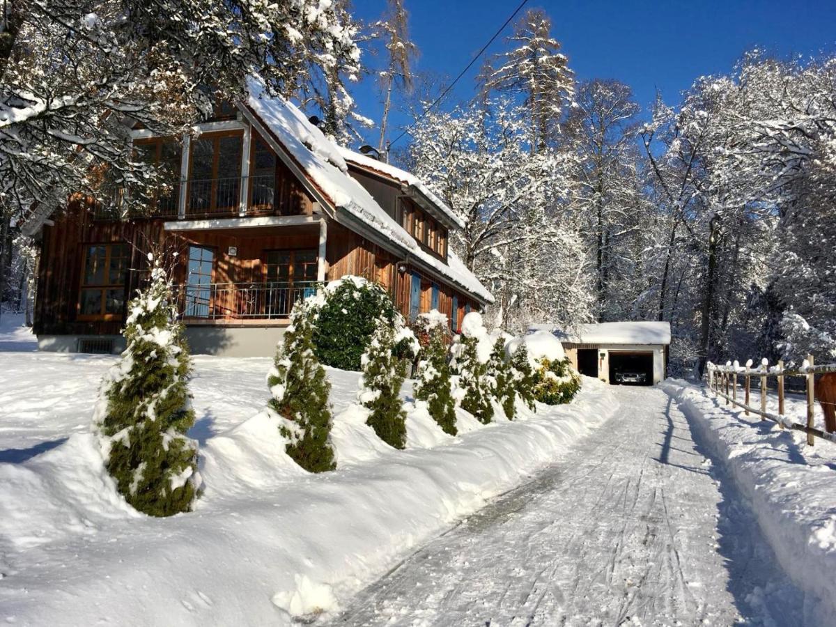Ferienwohnung Im Alten Forsthaus Bermatingen Exterior photo